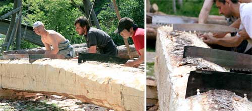 Cross cut sawing